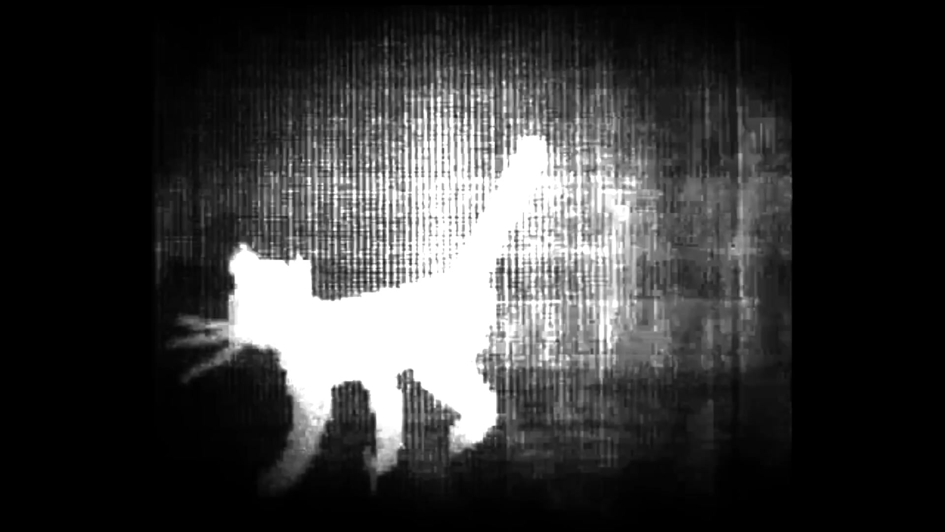 Video 29