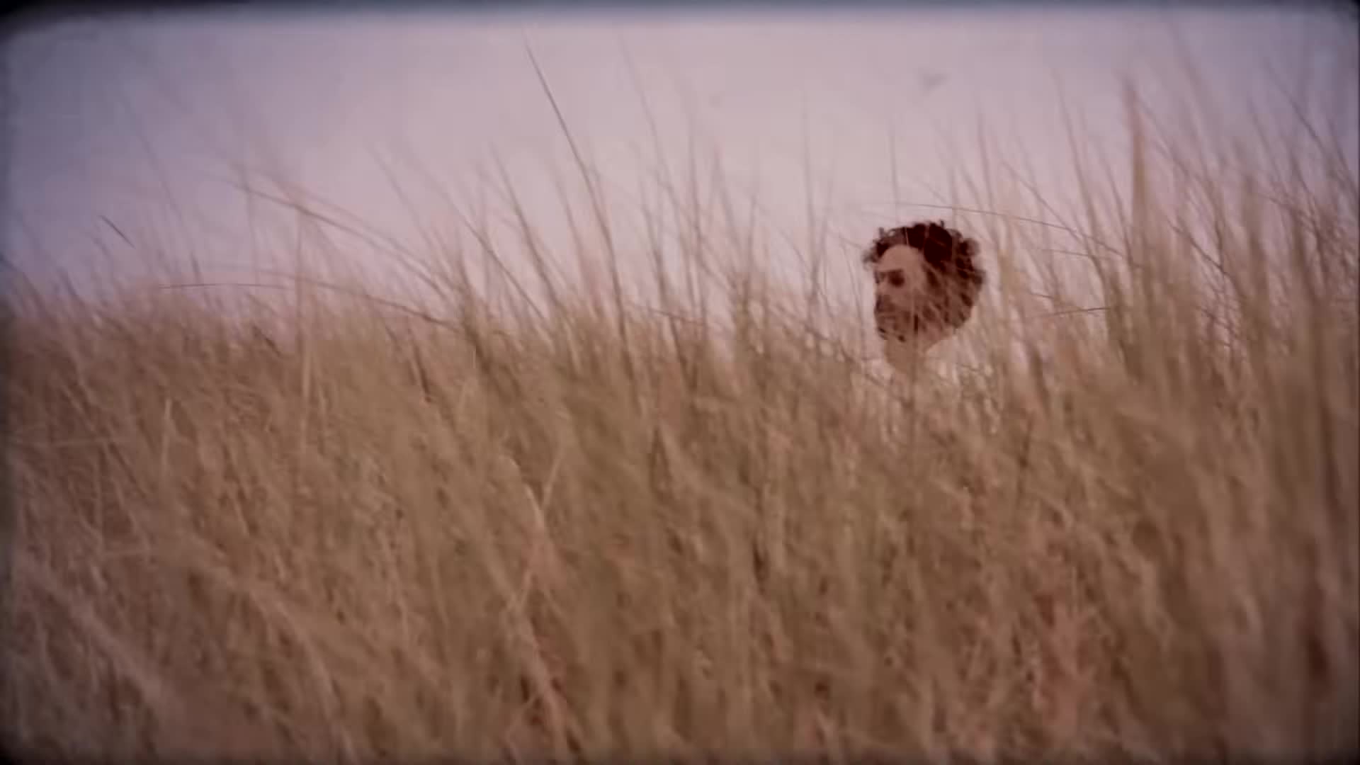 Video 6