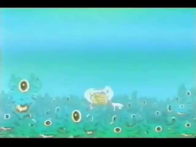 Video 11