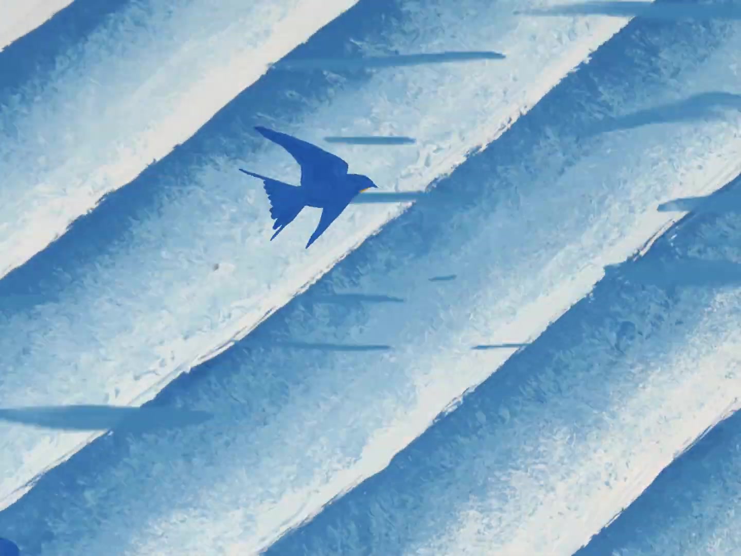 Video 4