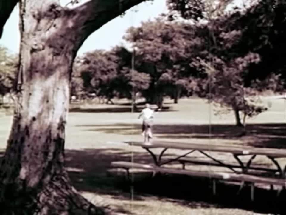 Video 3