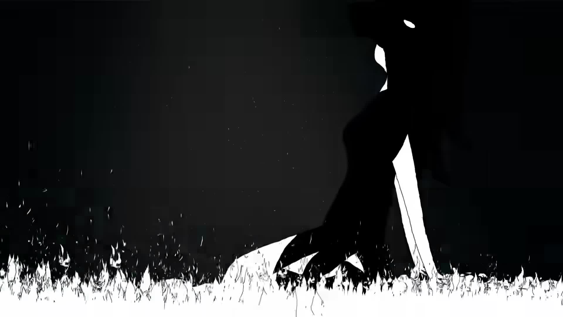 Video 16