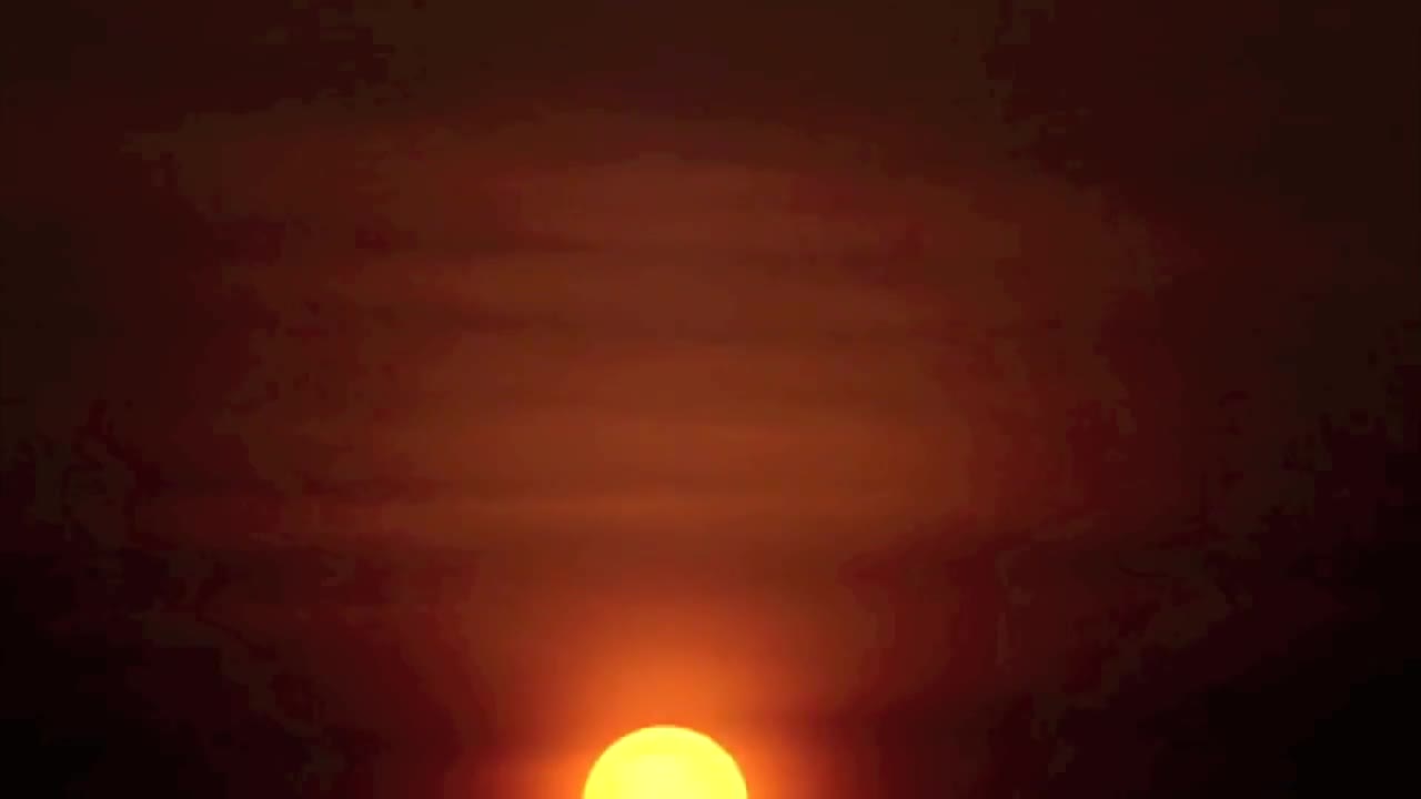 Video 5