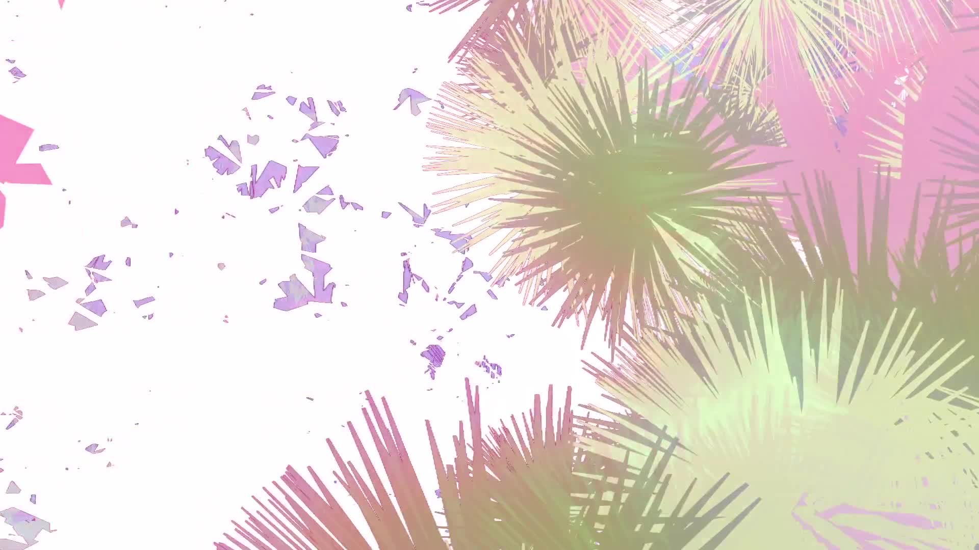 Video 23
