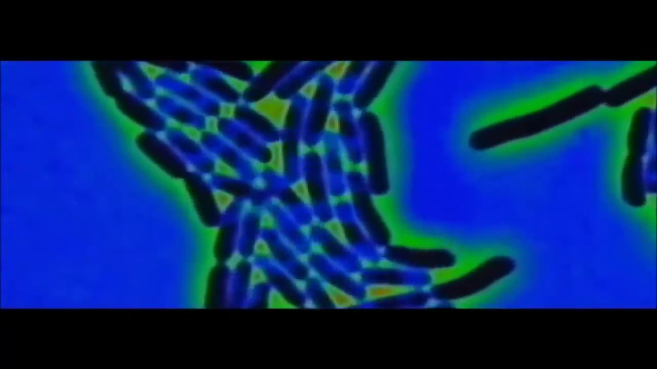 Video 10